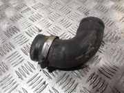 Andere Röhren NISSAN PRIMERA (P12) 1.9 dCi