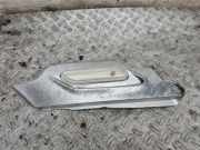 Kotflügelblinker vorne links MINI COUNTRYMAN (R60) Cooper 61697910 9802607