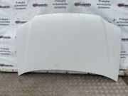 Motorhaube VW Caddy III Kasten (2KA)