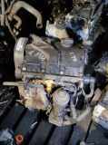 Motor VW POLO (9N_) 1.4 TDI BNM