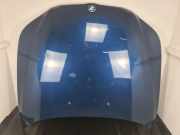 Motorhaube BMW 5er (E60) 41617111385