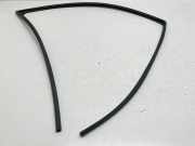 Türgummi rechts vorne Subaru Outback IV (BR) 1123220903