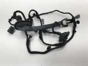 Türverkabelung hinten links FORD KUGA III (DFK) 2.5 Duratec Plug-in-Hybrid LX6T14633EAEC
