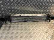 Ladeluftkühler MERCEDES-BENZ C T-Model (S203) C 220 CDI (203.206) A2035000600 2035000600