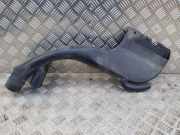 Luftdüsengehäuse Nissan X-Trail II (T31) 1028087S01