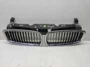 Vorderer oberer Gitter BMW 7 (E65, E66, E67) 735 i, Li 51137037727