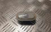 Kotflügelblinker vorne links RENAULT TRAFIC II Furgon (FL) 2.0 dCi 115 (FL01, FL0U) 8200194580