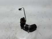 Wasserkühlerschlauch links