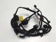 Türverkabelung hinten links