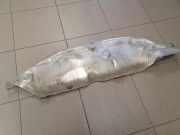 Heat Insulation HONDA CIVIC VIII Hatchback (FN, FK) 1.8 (FN1, FK2)