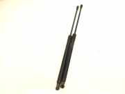 Heckklappe Gasdruckfeder links AUDI A4 Avant (8ED, B7) 2.0 TDI 16V 8E9827552H02S