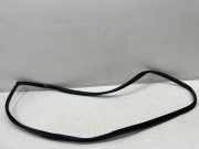 Türgummi links vorne Kia Niro I (DE) 040820