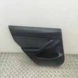 Türpolster hinten links TESLA MODEL 3 EV AWD 1621892-00