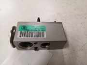 Expansionsventil für Klimaanlage Citroen C5 II Break (RE) 7019311