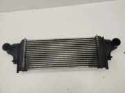 Ladeluftkühler Mercedes-Benz R-Klasse (W251) A2515000000