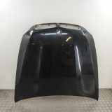 Motorhaube BMW X6 (E71, E72) 7486754