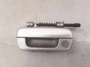 Türaußengriff vorne links