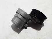 Generatorriemen des Spanners RENAULT TWINGO III (BCM_) 0.9 TCe 90 117507306R