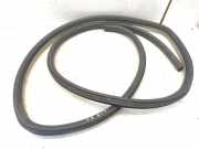 Türgummi links vorne VW New Beetle (9C)