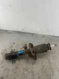 Stoßdämpfer vorne links RENAULT LAGUNA III (BT0/1) 2.0 dCi (BT01, BT09, BT12, BT1S) 03081000069