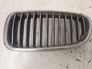 Vorderer oberer Gitter BMW 5 (F10) 530 d xDrive 7203649