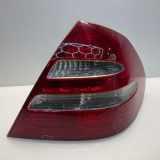 Lampenträger Heckleuchte rechts Mercedes-Benz E-Klasse (W211)