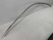 Dachleiste links BMW 5 Gran Turismo (F07) 535 d