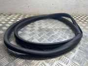 Türgummi rechts vorne Dacia Sandero II (SD)