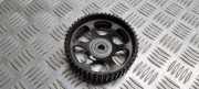 Auslassvanos FIAT BRAVO II (198_) 1.6 D Multijet A883 842