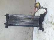 Elektrischer Schulterschulterkühler PEUGEOT 407 Coupe (6C_) 2.7 HDi