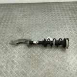 Stoßdämpfer vorne links AUDI A5 Sportback (F5A) 35 TFSI Mild Hybrid 8W0413031BG