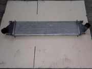 Ladeluftkühler FORD FOCUS IV (HN) 1.0 EcoBoost FCC7A 8V619L440AB