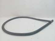 Türgummi rechts vorne Bentley Continental Cabriolet (3W) 3W7867337