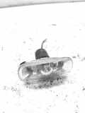 Blinker rechts vorne Audi A6 (4B, C5) 8E0949127