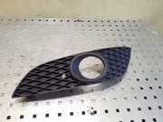 Blende Nebelscheinwerfer Opel Astra H Kasten () 13225764