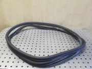 Türdichtungsgummi vorne links VW TOUAREG (7P5) 3.0 V6 TDI 7P0867365B