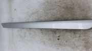 Verkleidung Armaturenbrett links BMW 3er Cabriolet (E46) 8213996