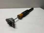 Stoßdämpfer hinten rechts