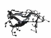 Motor Kabelbaum MERCEDES-BENZ S (W222, V222, X222) S 500 (222.082, 222.182) A2781590825