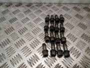 Radschraubensatz CAYC