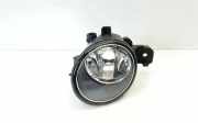 Nebelscheinwerfer vorne rechts NISSAN X-TRAIL (T30) 2.2 dCi 4x4 2615089905EW