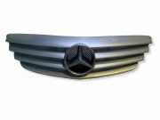 Gitter Grill vorne links MERCEDES-BENZ A (W169) A 170 (169.032, 169.332) A1698800183
