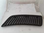 Gitter Grill vorne links MERCEDES-BENZ SPRINTER 3-t (906) 216 CDI (906.111, 906.113, 906.211, 906.213) A 906 836 06 18 A9068360618