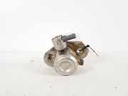 Kraftstoffpumpe BMW X1 (F48) 13517636881