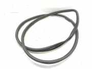 Türgummi links vorne Hyundai iX35 (LM)