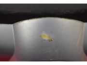 Lüftungsgitter für Stoßfänger Opel Astra H Kasten () 13108463