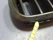 Lüftungsgitter für Stoßfänger BMW X5 (F15, F85) 7316075