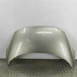 Motorhaube Renault Scenic III (JZ) 651000036R