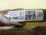 Airbag Dach rechts VW Passat B6 CC (357) 3C8880742B