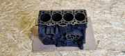 Motorblock VW GOLF IV Van (1J1) 1.9 TDI 80HBH 038021AA